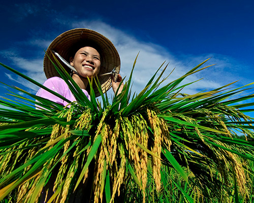 Активизация рекламирования образа Вьетнама