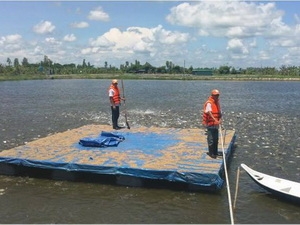 Австралийские бизнесмены высоко оценивают качество вьетнамских морепродуктов