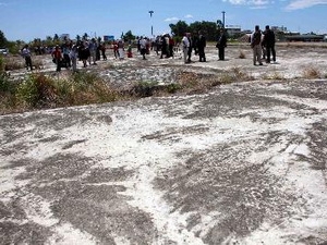 ИноСМИ высоко оценили работу США по очистке загрязненных диоксином районов в СРВ