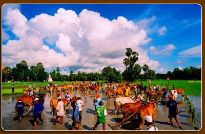 Поздравление кхмеров с традиционным праздником поминовения усопших