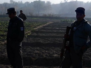 Более 30 человек стали жертвами взрыва бомбы на западе Афганистана