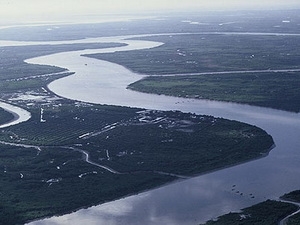 Сотрудничество для развития районов дельты Красной реки