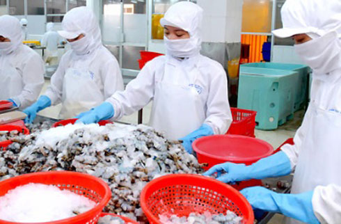 США вряд ли введут антидемпинговый налог на вьетнамские замороженные креветки