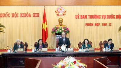 Члены ПК НС СРВ обсудили законопроект о внесении изменений в Закон об ОФВ