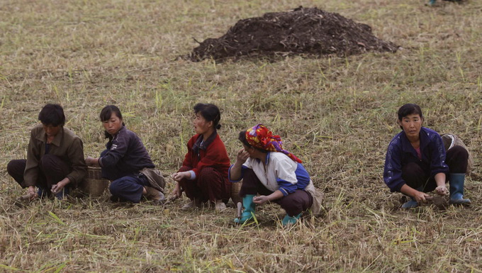 Вашингтон готов оказать продовольственную помощь Пхеньяну