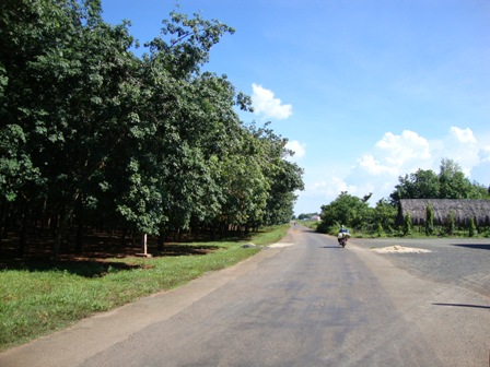 Изменения на земле малых народностей провинции Биньфыок