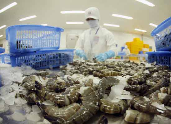 Вьетнам выступает против введения США антидотационных пошлин на импорт креветок