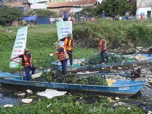 Мероприятия, приуроченные ко Всемирному дню окружающей среды