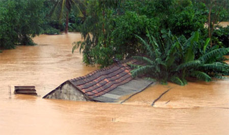 Активизация международного сотрудничества в профилактике и борьбе со стихийными бедствиями