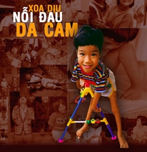 Мероприятия, посвященные Дню «Ради вьетнамских жертв ядохимикатов Эйджент-Оранж»