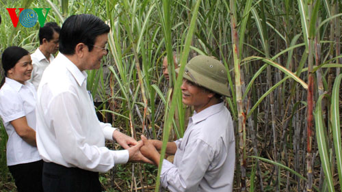 Президент СРВ Чыонг Тан Шанг посетил провинцию Каобанг