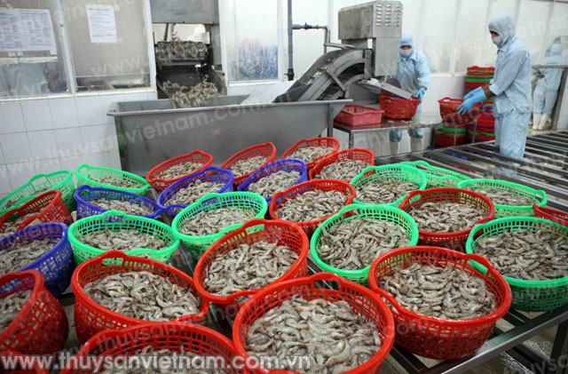 США признали, что вьетнамские замороженные креветки не продавались по демпинговой цене