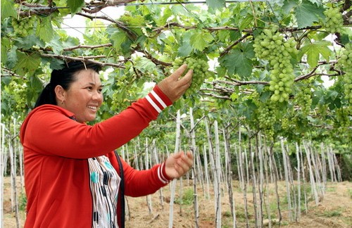 Во Вьетнаме число бедных людей сократилось почти на 38% за прошедшие 20 лет