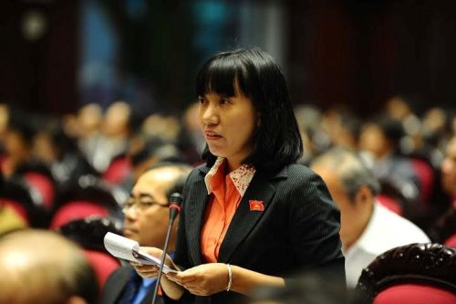 Заседания 6-й сессии НС СРВ 13-го созыва с депутатскими запросами