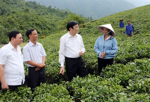 Инфраструктура и людские ресурсы – важные факторы для устойчивого развития провинции Тхайнгуен