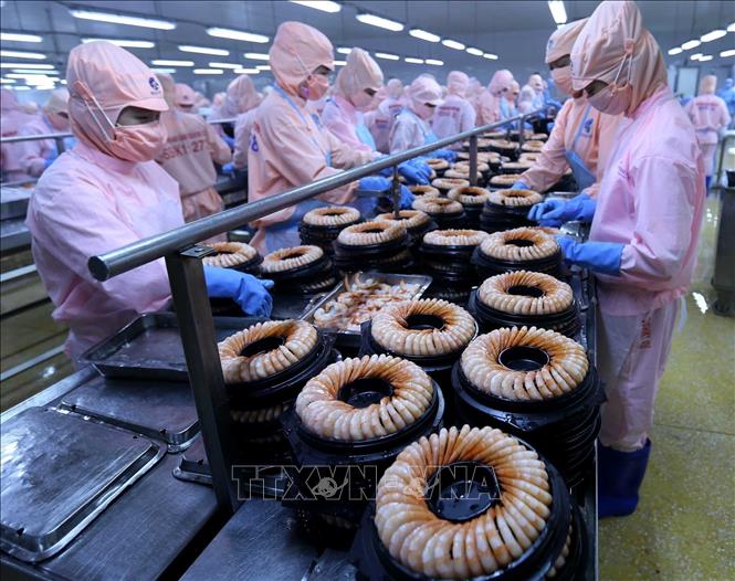 Вьетнам лидирует в Юго-Восточной Азии по темпам роста экономики