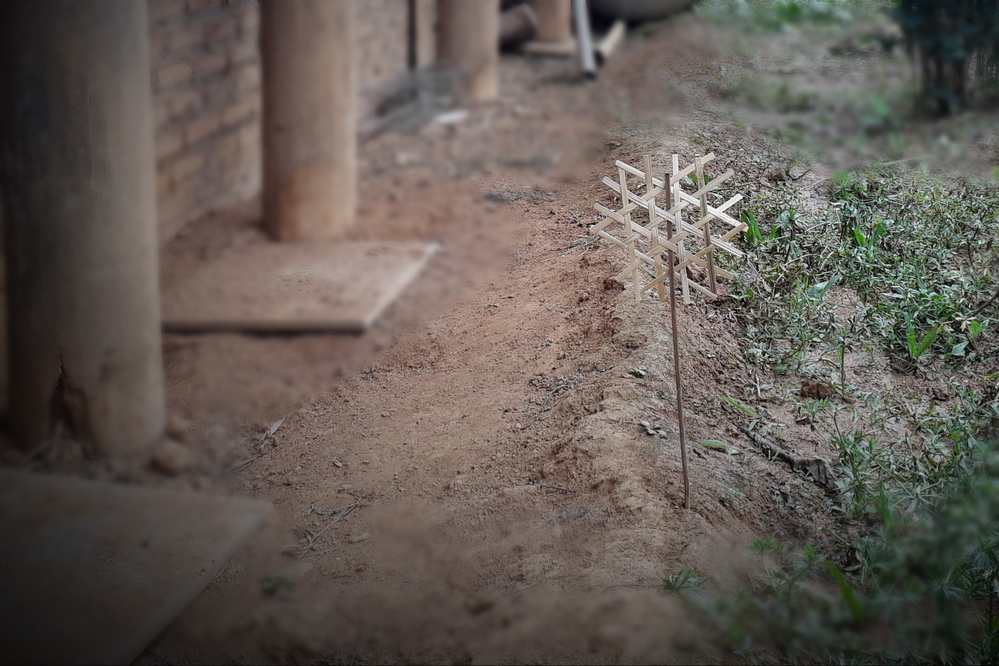 «Тадиеу» в духовной жизни народности Тхай