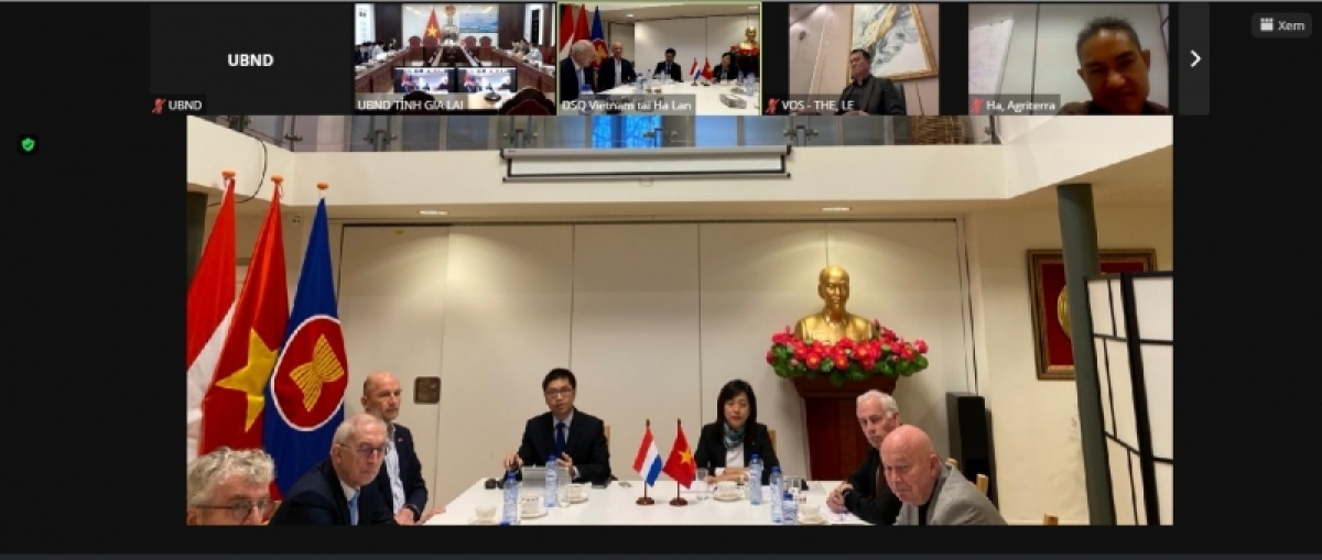 Деловые связи между Нидерландами и вьетнамской провинцией Зялай