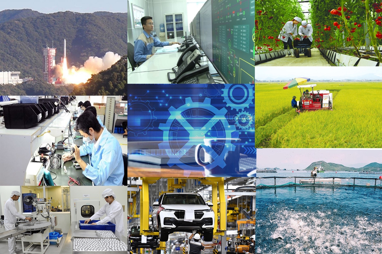 Применение науки и технологий вьетнамскими предприятиями