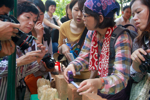 Việc công bố những kết quả bước đầu cũng như những hiện vật tìm thấy tại khu đền tháp này đã thu hút sự quan tâm của đông đảo giới nghiên cứu trong và ngoài nước.