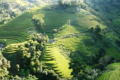 Cùng cảnh quan kỳ vĩ là những mùa vàng bội thu.