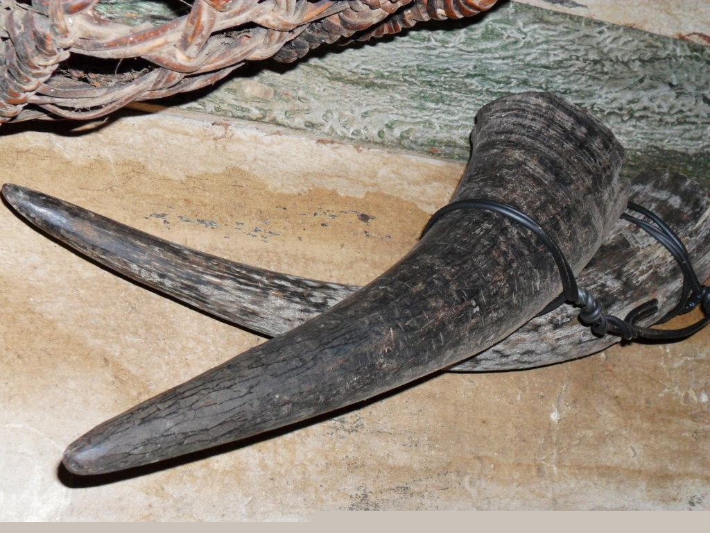 Tù và sừng trâu.