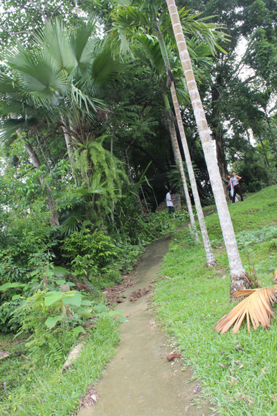 Con đường nhỏ dẫn lên gốc thị ăn thề