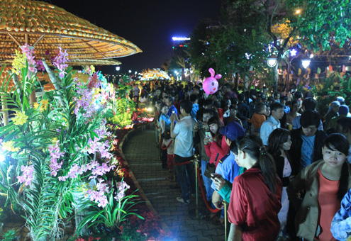 Nhưng chưa đầy 30 phút sau, các lỗi tham quan đường hoa đã chật kín người.