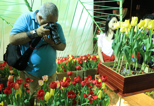 Nhiều du khách nước ngoài cũng tìm đến và say sưa sáng tác.