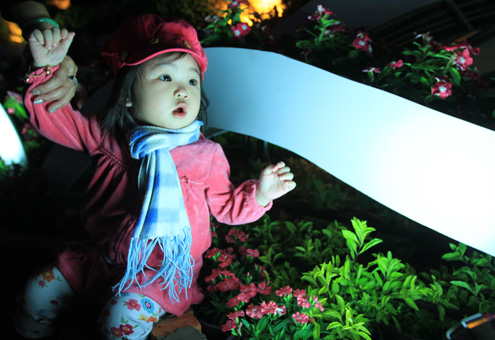 Riêng bé gái này ngồi bệt xuống thềm ở đường hoa và không rời mắt ngắm nhìn những bông hoa đẹp mắt, dù người lớn cấm tay dẫn đi.