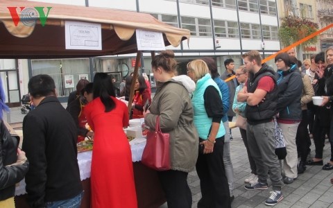 khai mac ngay van hoa viet nam tai sec hinh 4