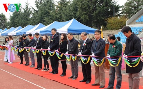 han quoc: soi dong giai bong da icfood cup 2015 cua sinh vien viet hinh 0