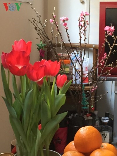 người việt tại nhật bản thao thức ngóng chờ năm mới bính thân hình 0 nguoi viet tai nhat ban thao thuc ngong cho nam moi binh than hinh 0