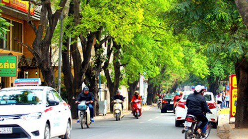 Hà Nội đẹp ngỡ ngàng trong tiết giao mùa tháng 3 - ảnh 1