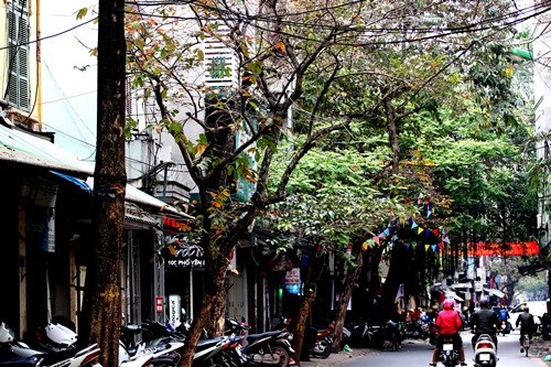 Hà Nội đẹp ngỡ ngàng trong tiết giao mùa tháng 3 - ảnh 2