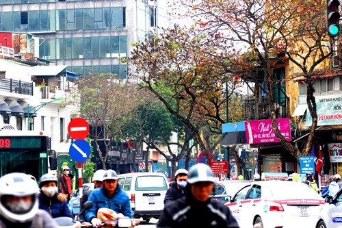 Hà Nội đẹp ngỡ ngàng trong tiết giao mùa tháng 3 - ảnh 4