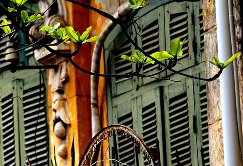 Hà Nội đẹp ngỡ ngàng trong tiết giao mùa tháng 3 - ảnh 7