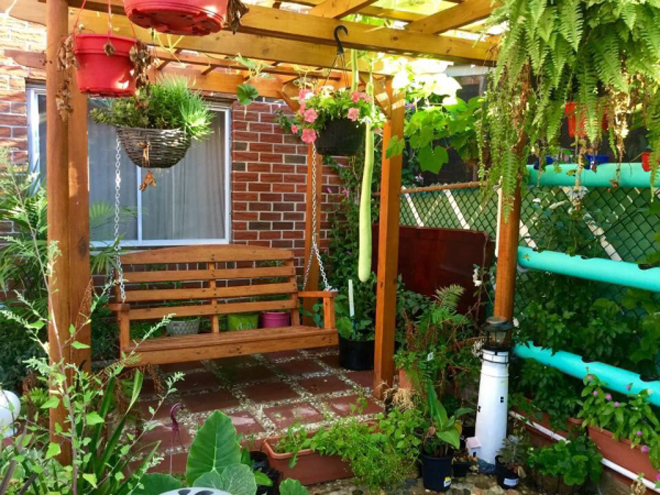 Khu vườn nhỏ gợi nhớ quê nhà của gia đình Việt ở Mỹ