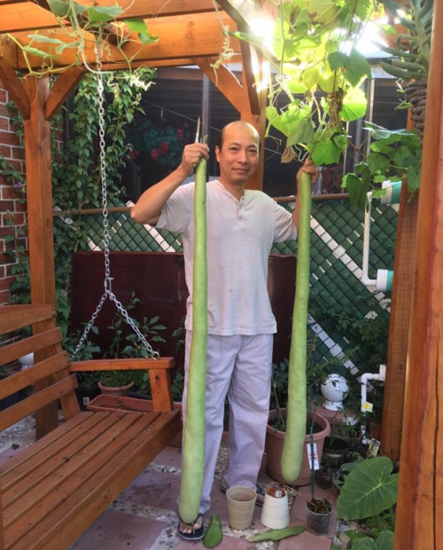 Khu vườn nhỏ gợi nhớ quê nhà của gia đình Việt ở Mỹ