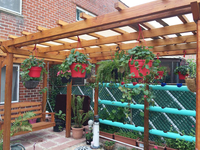 Khu vườn nhỏ gợi nhớ quê nhà của gia đình Việt ở Mỹ