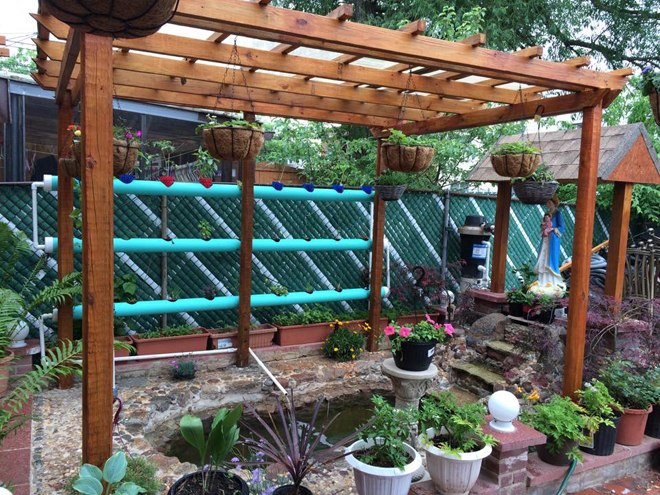 Khu vườn nhỏ gợi nhớ quê nhà của gia đình Việt ở Mỹ