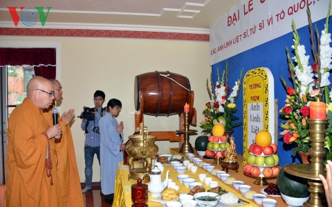 dai le cau sieu nhung nguoi hy sinh vi bien cuong, hai dao viet nam hinh 0