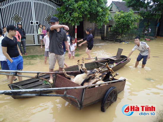 chum anh di trong ron lu huong khe