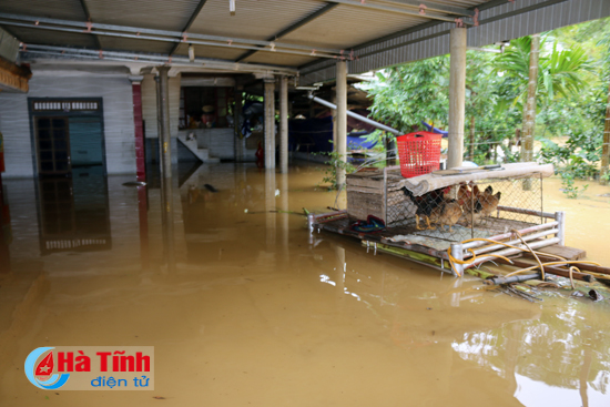 chum anh di trong ron lu huong khe