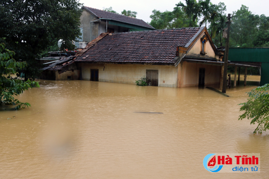 chum anh di trong ron lu huong khe