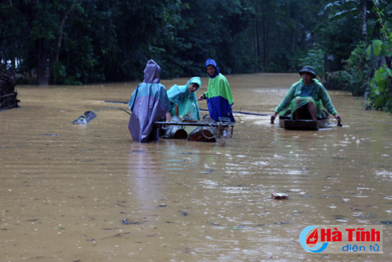 chum anh di trong ron lu huong khe