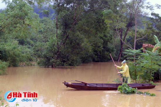 chum anh di trong ron lu huong khe