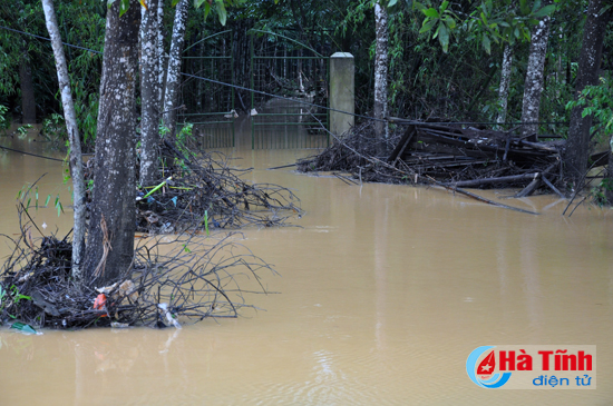 chum anh di trong ron lu huong khe