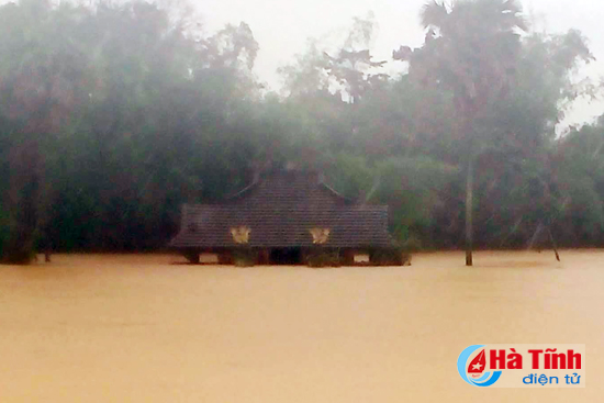 chum anh di trong ron lu huong khe