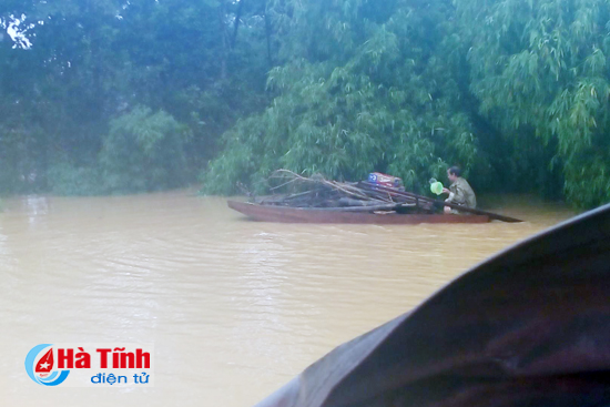 chum anh di trong ron lu huong khe